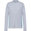 Nike Academy 25 Funktionsshirt Herren - wolf grey-energy-white