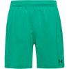 Under Armour VANISH Funktionsshorts Herren - geode green
