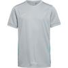 Nike Academy 25 Funktionsshirt Kinder - wolf grey-wolf grey-energy-white