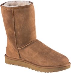 Rückansicht von Ugg Classic Short II Stiefel Damen chestnut