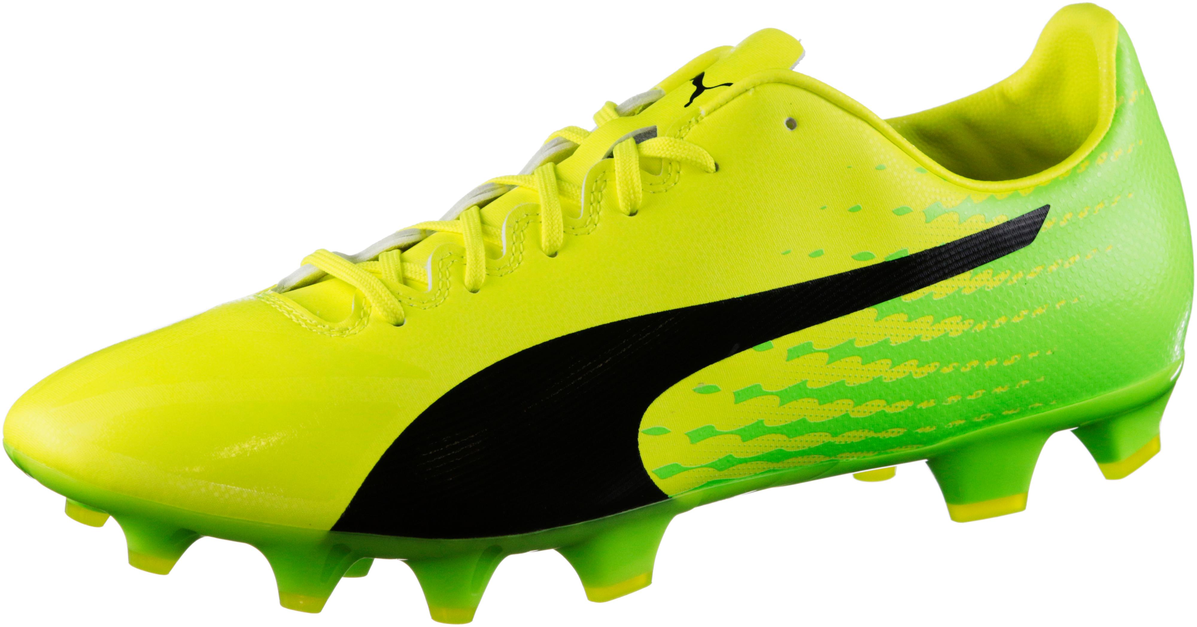 puma evospeed 17.2