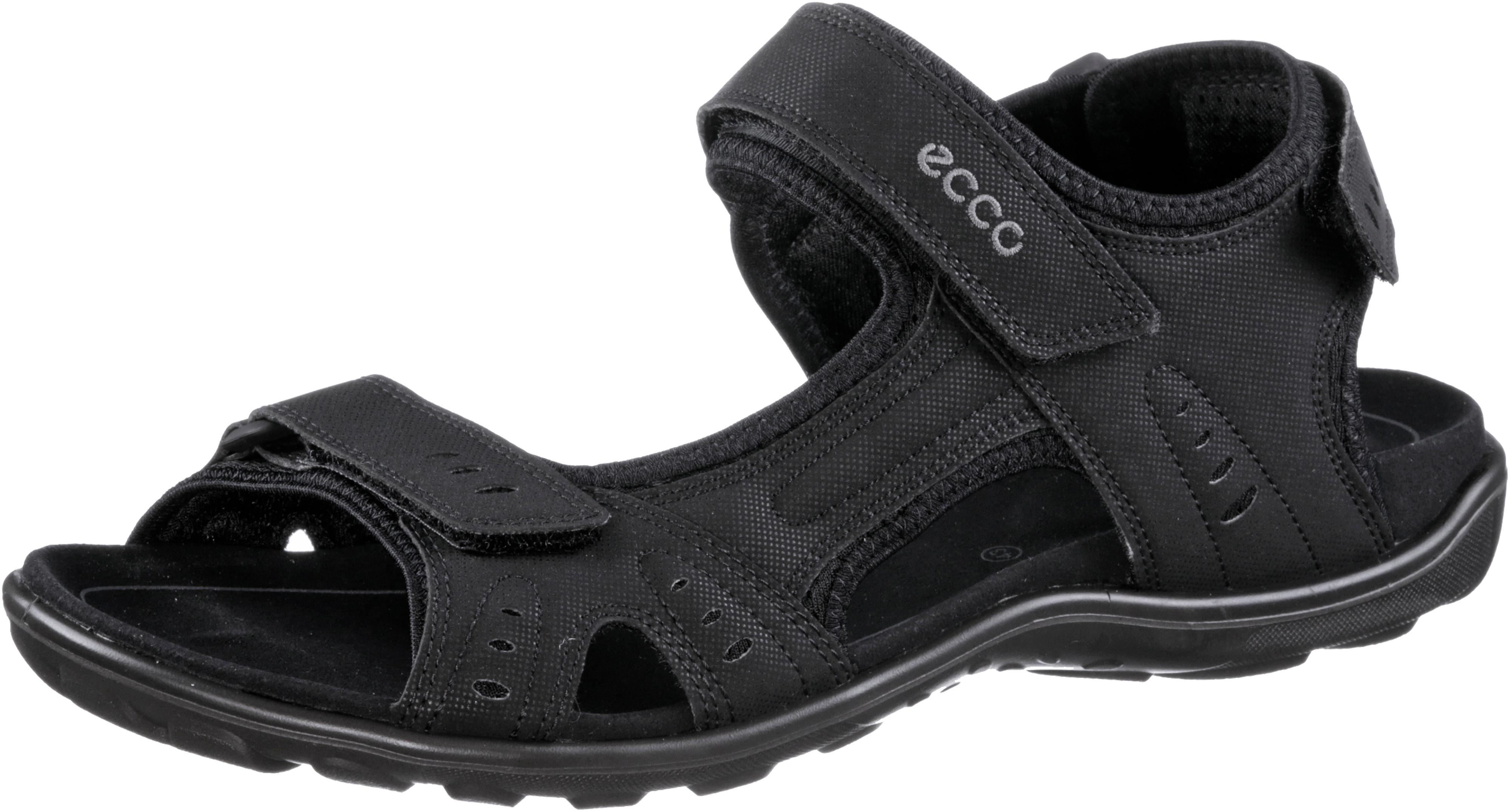 ecco all terrain