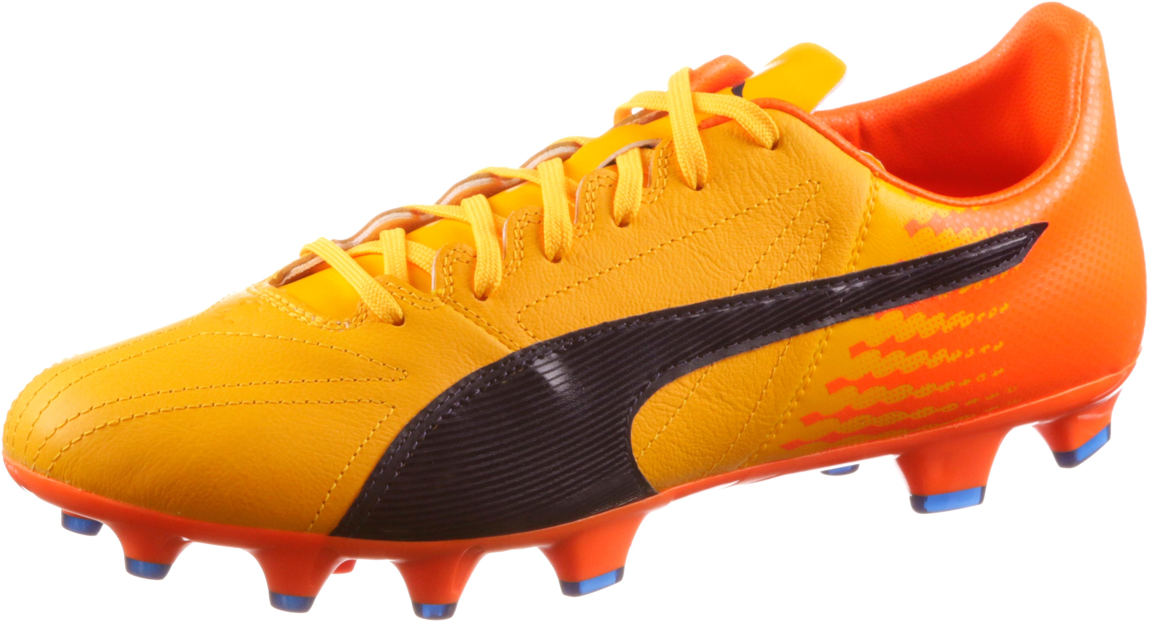 puma evospeed 17.2