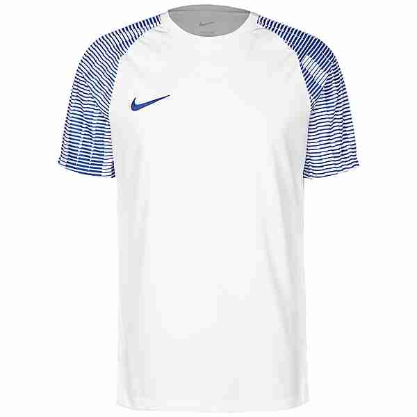 Nike Dri-Fit Academy Trikot Herren weiß / blau