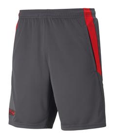 PUMA X BATMAN Short Fußballshorts Herren grau