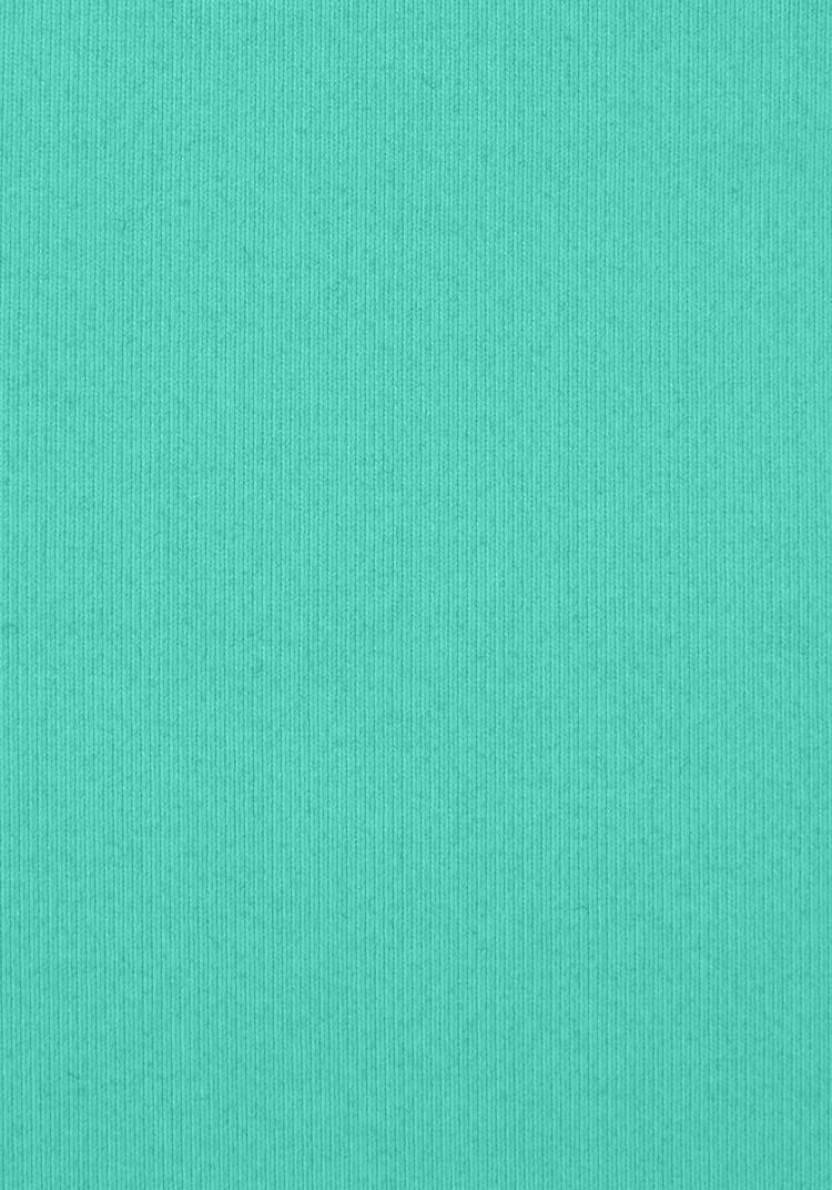 VENICE BEACH VENICE BEACH Bikini-Hose Bikini Hose Damen - mint - 1 | SportScheck