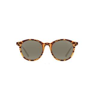 SINNER SINNER Lomond Polarised Sunglasses Sonnenbrille brown tortoise
