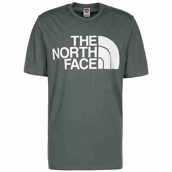 The North Face Standard T-Shirt Herren graugrün
