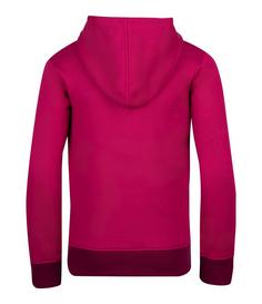 Rückansicht von Trollkids Trondheim Hoodie Kinder Lila/Dunkellila