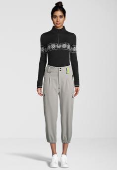 Rückansicht von RH+ 4 Seasons Cargo Softshellhose Damen cloud grey