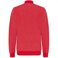 Rückansicht von TAO FRÄNKY Sweatjacke Herren sporting red