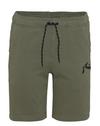 RUSTY ONE HIT 19 TRACK SHORT Cargoshorts Herren - Savanna