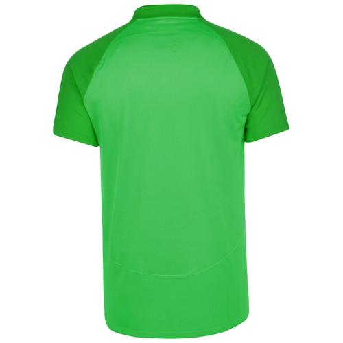 Rückansicht von Nike Academy Pro Poloshirt Herren grün / dunkelgrün