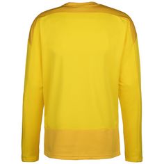 Rückansicht von PUMA TeamGOAL 23 Funktionssweatshirt Herren gelb / dunkelgelb