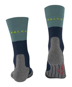 Rückansicht von Falke TK2 Explore Wandersocken Herren blau