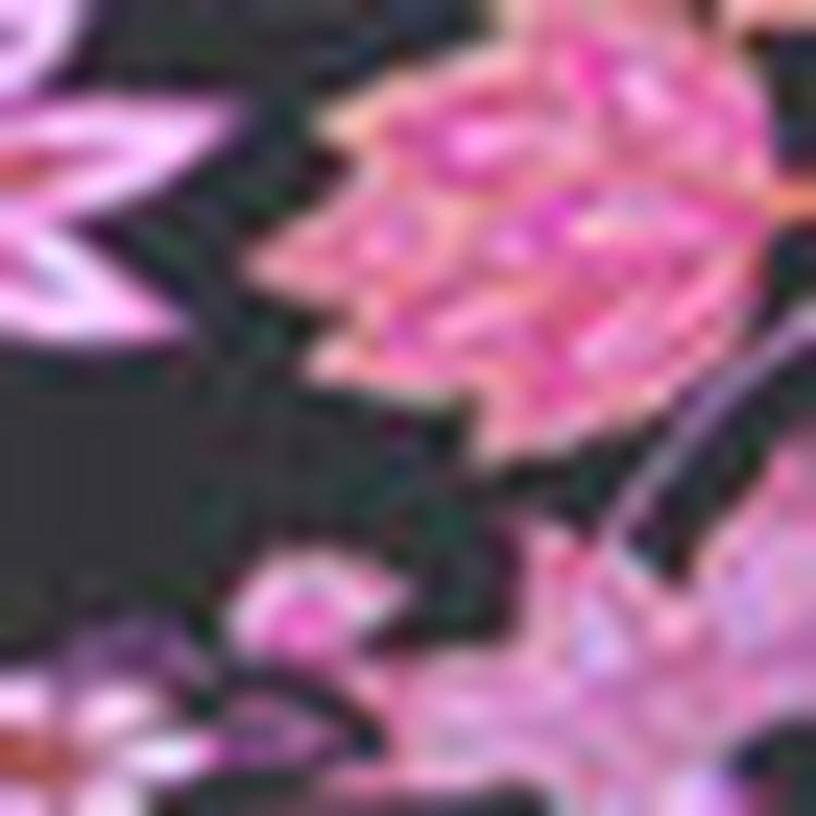 Lascana Lascana B&uuml;gel-Bandeau-Bikini-Top Bikini Oberteil Damen - schwarz-pink - 0 | SportScheck