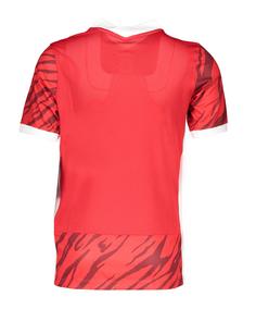 Rückansicht von Nike Dry NE GX2 T-Shirt Kids Funktionsshirt Kinder rotweiss
