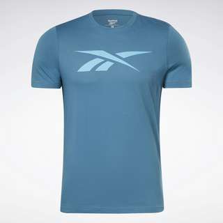 Reebok Reebok Graphic Series Vector T-Shirt Funktionsshirt Herren Steely Blue S23-R