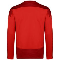 Rückansicht von PUMA teamGOAL 23 Funktionssweatshirt Herren rot
