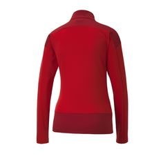 Rückansicht von PUMA teamGOAL 23 1/4 Zip Top Damen Funktionssweatshirt Damen rot