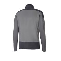 Rückansicht von PUMA teamGOAL 23 Training 1/4 Zip Top Funktionssweatshirt grau