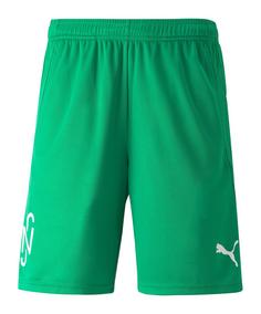 PUMA NJR Copa Short Fußballshorts Herren gruen