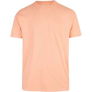Cleptomanicx Ligull Regular T-Shirt Herren Canyon Sunset
