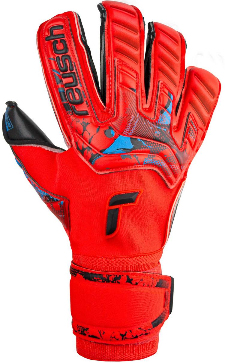 Reusch Reusch Attrakt Gold X Evolution Cut Torwarthandschuhe - 3333  brig red/futr blu/blck - 0 | SportScheck