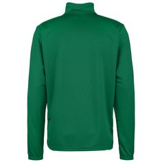 Rückansicht von PUMA teamRISE 1/4 Zip Funktionssweatshirt Herren grün / weiß