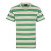 RUSTY BUSTED CUSTARD SHORT SLEEVE TEE T-Shirt Herren - Basil