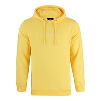 RUSTY RS SUPER FLEECE HOODIE Hoodie Herren - Popcorn