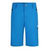 Jeff Green Jam Funktionsshorts Herren - Blue Aster