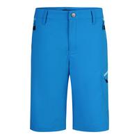 Jeff Green Jam Funktionsshorts Herren - Blue Aster
