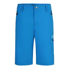 Jeff Green Jam Funktionsshorts Herren Blue Aster