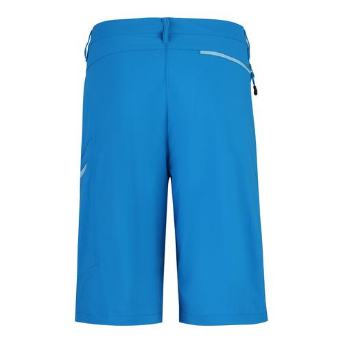 Rückansicht von Jeff Green Jam Funktionsshorts Herren Blue Aster