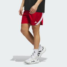 Rückansicht von adidas Icon Squad Shorts Funktionsshorts Herren Team Power Red / White / White