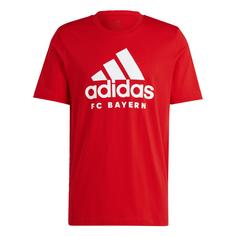 adidas FC Bayern München DNA Graphic T-Shirt Fanshirt Herren Red