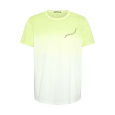 Chiemsee T-Shirt T-Shirt Herren 6268 Light Green/Dark Green