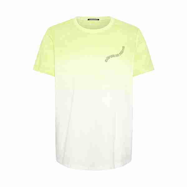 Chiemsee T-Shirt T-Shirt Herren 6268 Light Green/Dark Green