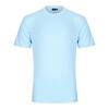 RUSTY DELUXE BLANK S/S TEE T-Shirt Herren - PASTEL BLUE