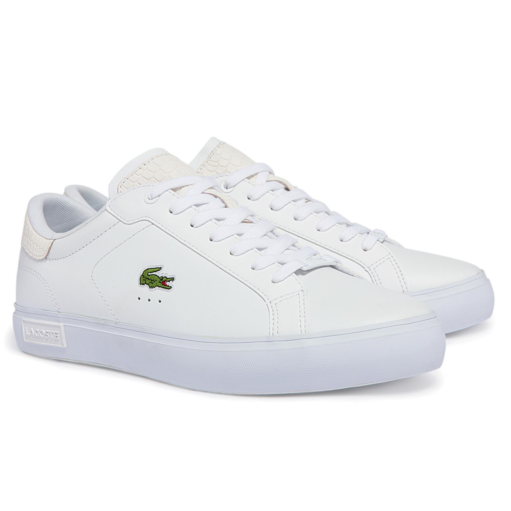 Lacoste shoes shop sale