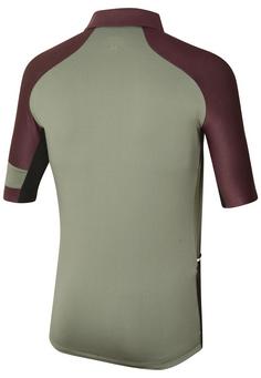 Rückansicht von RH+ E Bike Polo Fahrradtrikot Herren Cabernet Melange-Army