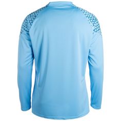 Rückansicht von PUMA Manchester City 1/4 Zip Funktionssweatshirt Herren hellblau / blau
