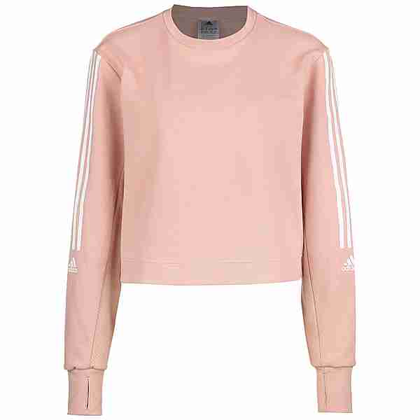 adidas Designed To Move Cotton Touch Sweatshirt Damen rosa