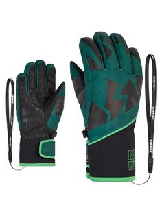 Skihandschuhe » Fingerhandschuhe » Ski in grün im Online Shop von  SportScheck kaufen | Handschuhe