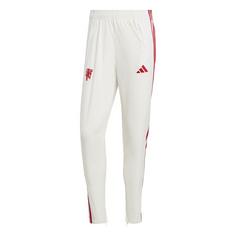 adidas Manchester United Anthem Hose Trainingshose Herren Cloud White / Crystal White