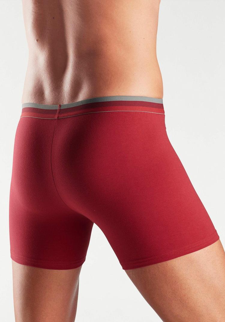 Bench Bench Langer Boxer Unterhose Herren - bordeaux - grau - 1 | SportScheck