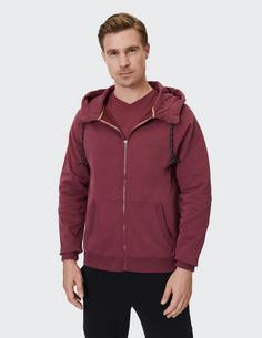 Rückansicht von VENICE BEACH VBM Gavin Sweatjacke Herren burgundy