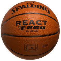 Rückansicht von SPALDING DBB React TF-250 Basketball Herren orange