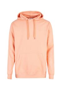 Cleptomanicx Ligull Hoodie Herren - Canyon Sunset